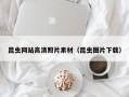 高安昆虫网站高清照片素材（昆虫图片下载）
